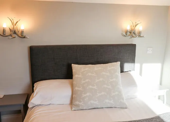 The Pheasantry סקארבורו